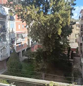 Foto annuncio 4