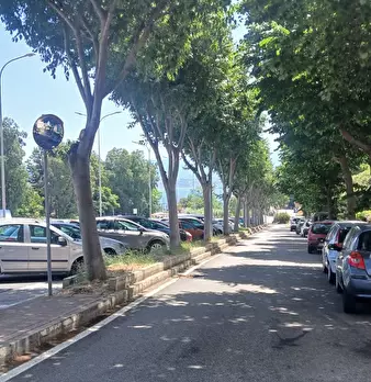 Foto annuncio 8