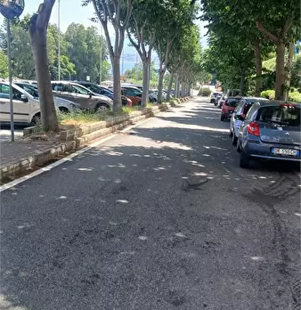 Foto annuncio 7