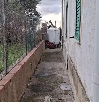 Foto annuncio 8