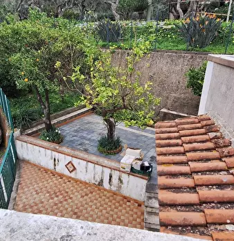 Foto annuncio 7