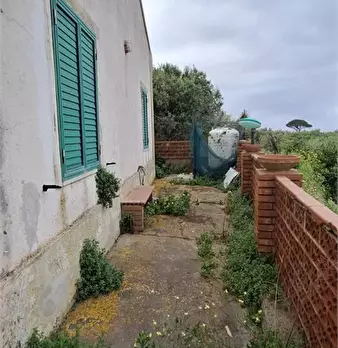 Foto annuncio 6