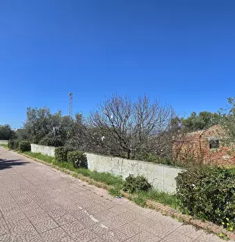 Foto annuncio 9