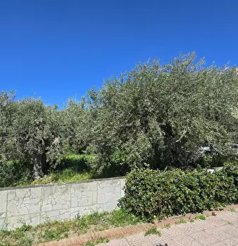 Foto annuncio 3
