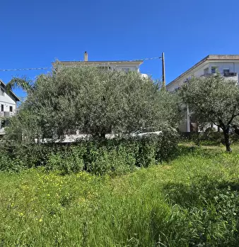 Foto annuncio 7