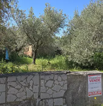 Foto annuncio 10