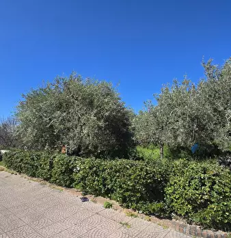 Foto annuncio 2