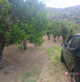 Foto annuncio 8