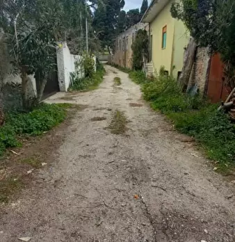 Foto annuncio 6
