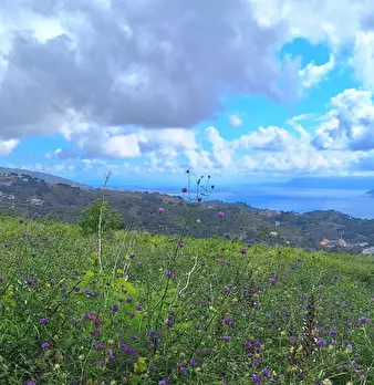 Foto annuncio 7