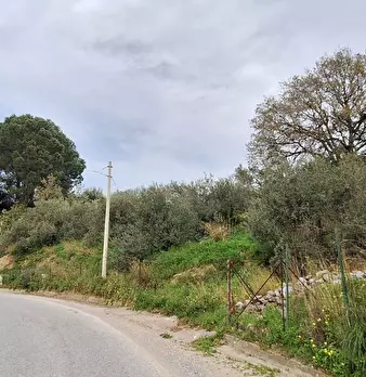 Foto annuncio 4