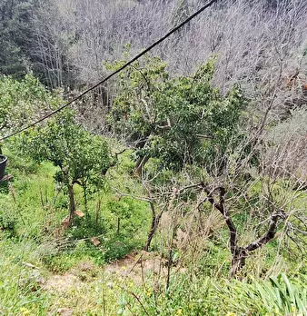 Foto annuncio 9