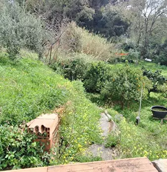 Foto annuncio 6