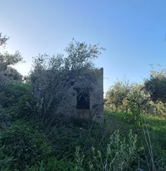Foto annuncio 7