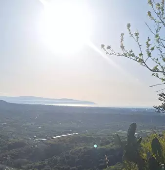 Foto annuncio 3