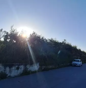 Foto annuncio 4
