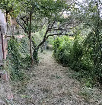 Foto annuncio 7