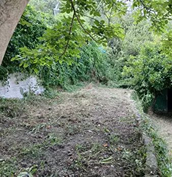 Foto annuncio 5