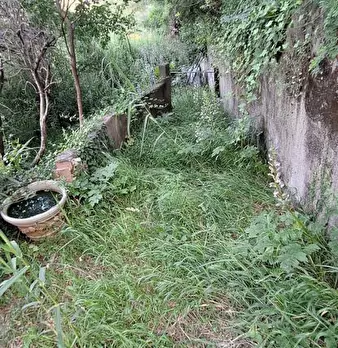 Foto annuncio 8