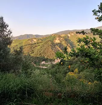 Foto annuncio 4