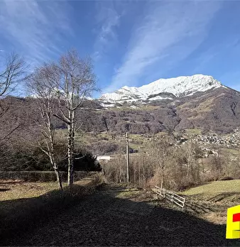 Foto annuncio 5