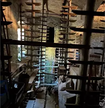 Foto annuncio 5