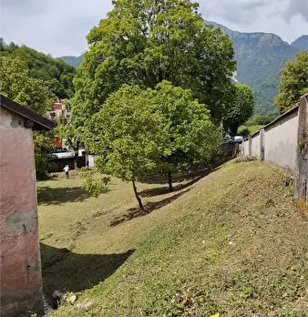 Foto annuncio 7