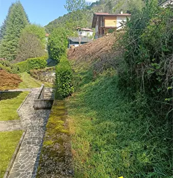 Foto annuncio 5