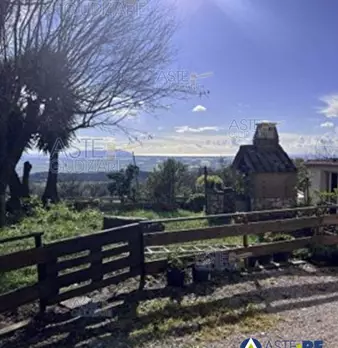 Foto annuncio 1