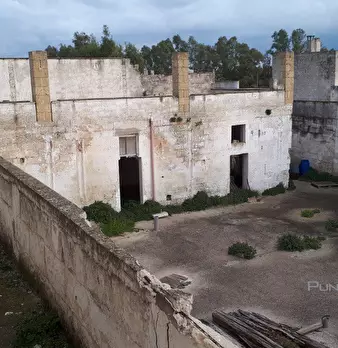 Foto annuncio 5