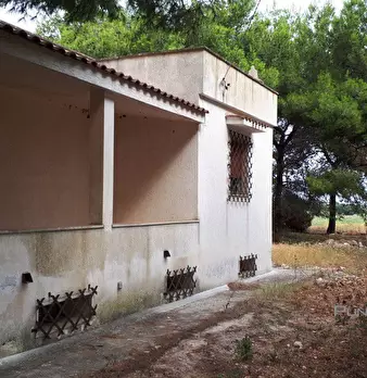 Foto annuncio 6