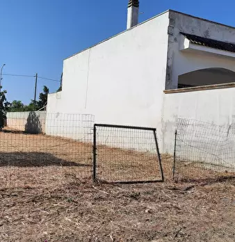 Foto annuncio 3