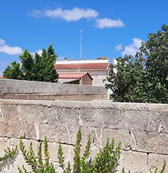Foto annuncio 6