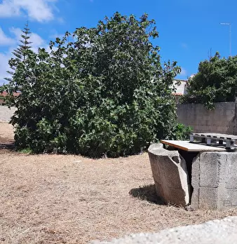 Foto annuncio 7