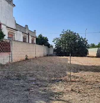 Foto annuncio 4