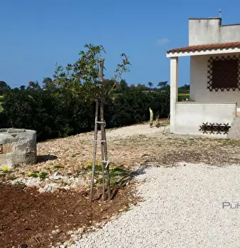 Foto annuncio 5