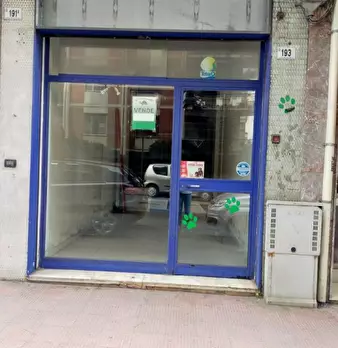 Foto annuncio 3
