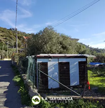 Foto annuncio 4