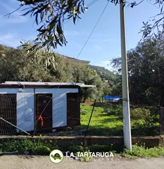 Foto annuncio 8