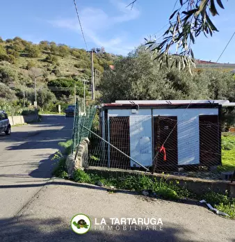 Foto annuncio 9