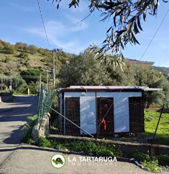 Foto annuncio 7