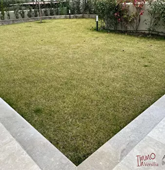 Foto annuncio 9