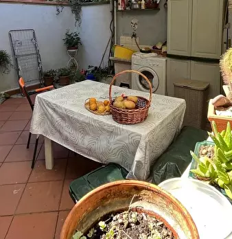 Foto annuncio 8