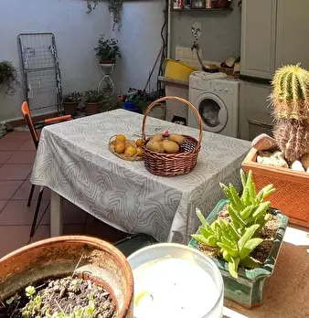 Foto annuncio 9
