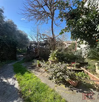 Foto annuncio 3