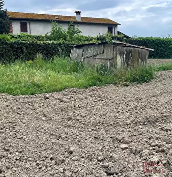 Foto annuncio 10
