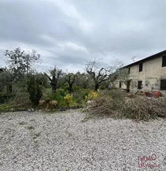 Foto annuncio 9