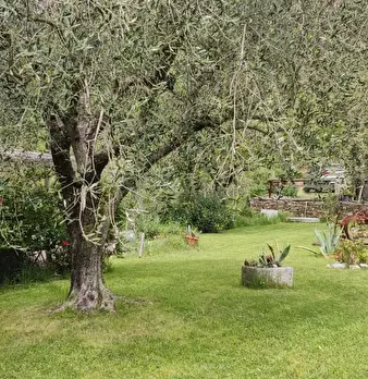 Foto annuncio 5