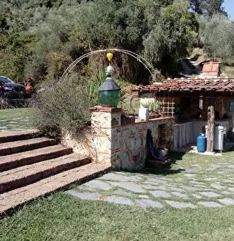 Foto annuncio 10
