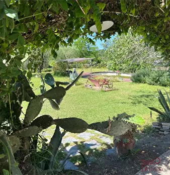 Foto annuncio 6